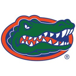 Florida Gators - Black Square Golf