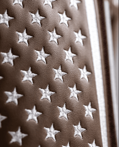 Folds of Honor 2.0 - Driver Cover - Pins and Aces