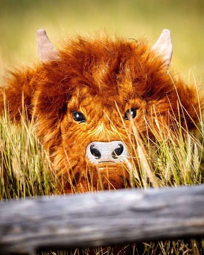Highland Cow - Driver Cover - Pins and Aces
