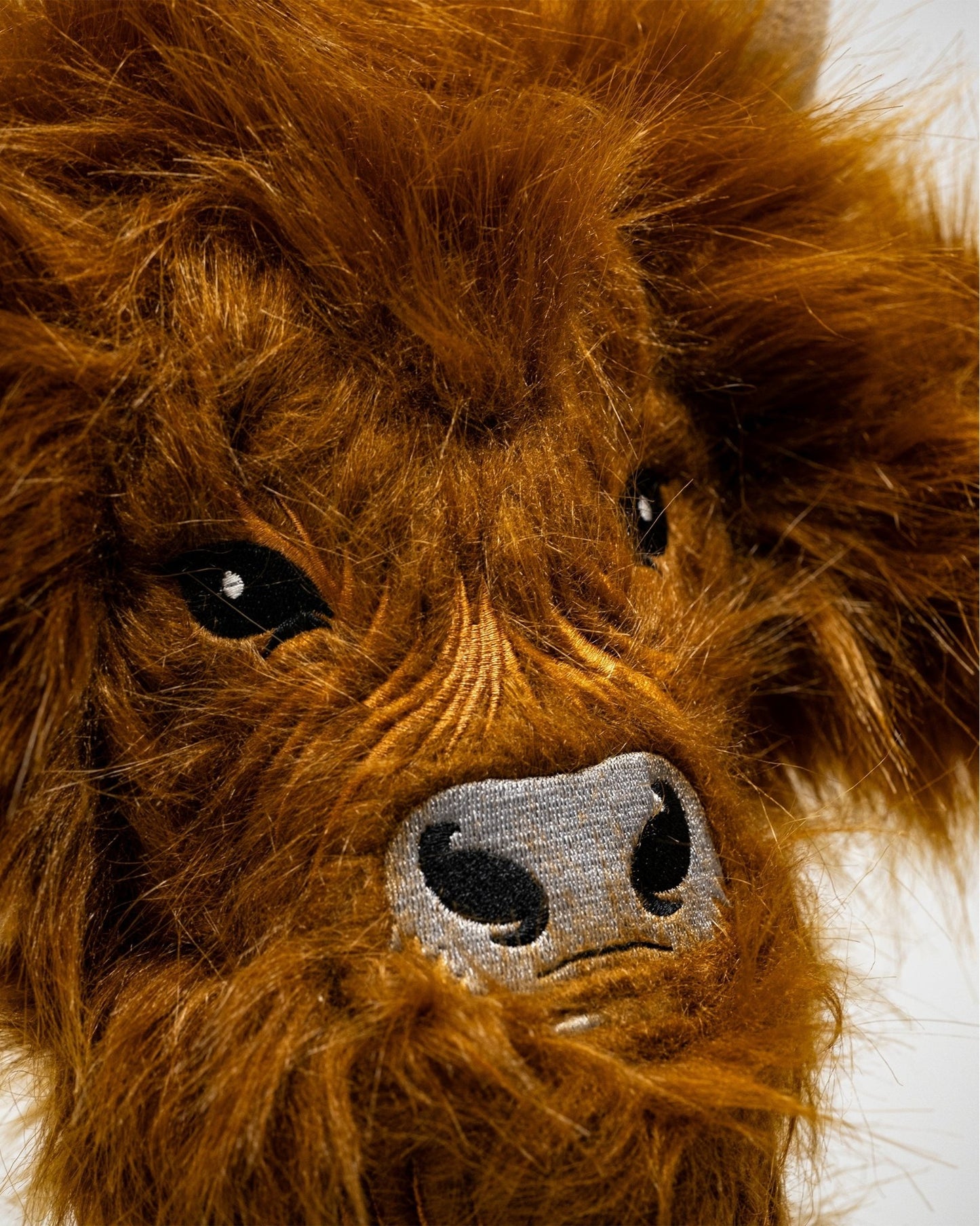 Highland Cow - Driver Cover - Pins and Aces