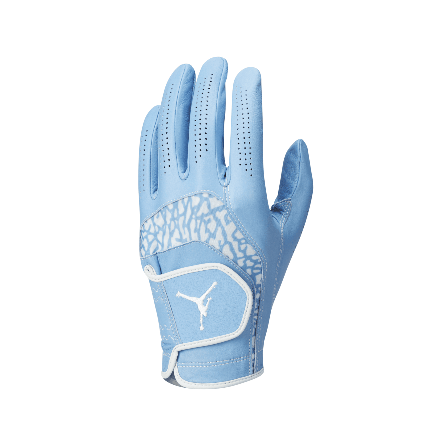 Jordan Tour Regular Golf Glove - Nike