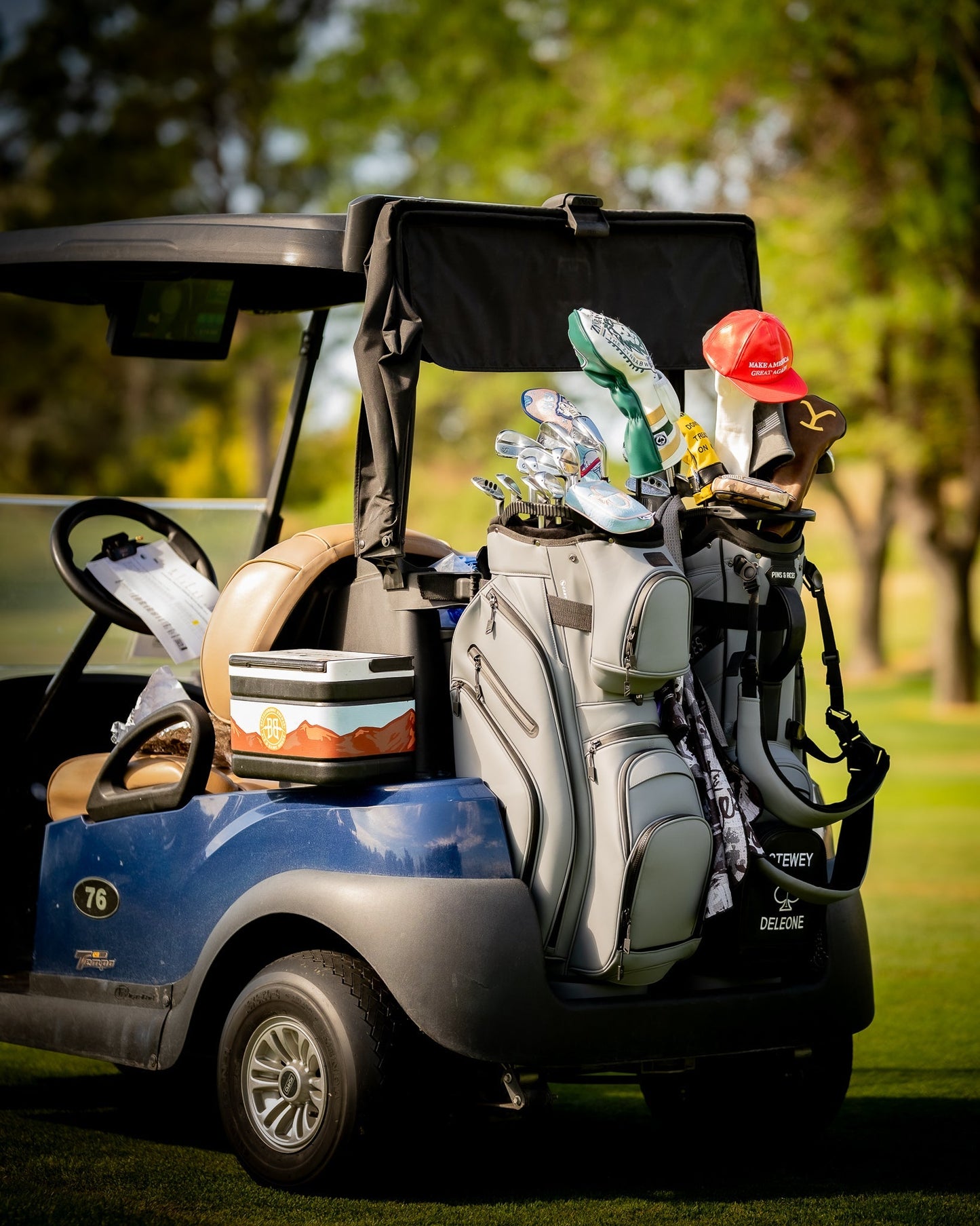 Player Preferred™ Cart Bag - Flat Ash - Pins and Aces