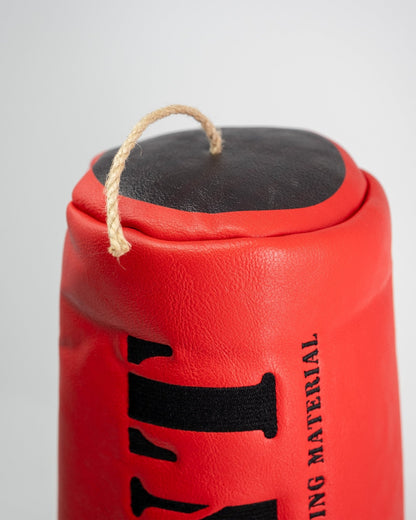 TNT - Driver Cover - Pins and Aces